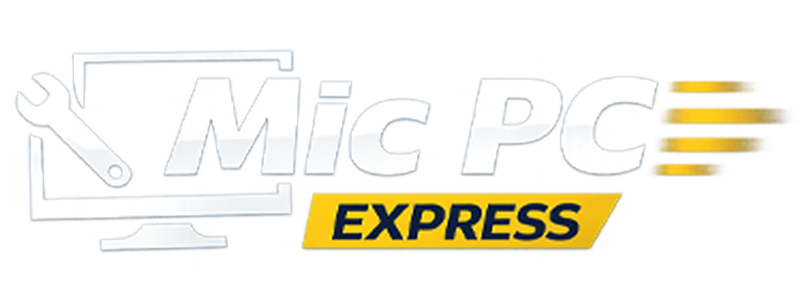 Logo horizontal Mic Pc Express blanc transparent